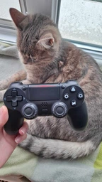 Джойстик бездротовий для телефона пк геймпад ігровий ps4 ps5 xbox блютуз для смартфона планшета ноутбука контроллер для iOS Android універсальний з USB кабель BS-350 OnePro 74043 фото від покупців 9