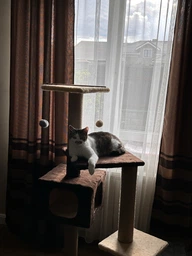 Будиночок когтеточка для кота дряпка для кішки Мур-Мяу Аліса 60 x 60 x 138 см в сизалевій мотузці Темно коричнево-бежевий