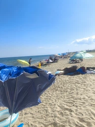 Пляжна парасолька з нахилом 200 см Umbrella Anti-UV ромашка Зелена 1200ZNTRMS03865