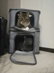 Рюкзак переноска для кота кошки собаки домашних животных до 7 кг с окошком двойной двухместный трансформер кошачьи рюкзаки для переноски двух котов кошек маленьких собак чёрный (002262) фото от покупателей 8