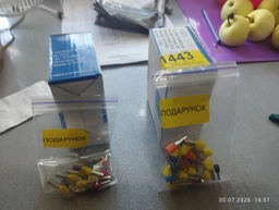 Реле напряжения 60А, 2Р, 220В (230В), TOMZN, автомат на DIN рейку, TOVPD1-60-EC электронное, с зашитой по току и напряжению