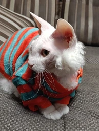 Флисовая кофта для котов (кошек) Полосочка S Красно-зеленый