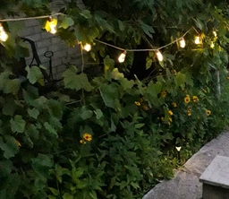 Уличный и домашний LED светильник+POWER BANK Sunlamp 8 м + 2 м, 20 ламп по 10 LED, 220V, IP65, теплый свет, с пультом и 8 режимами фото от покупателей 1