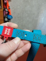 Шлея для собак водостійка анатомічна Н-подібна WAUDOG Waterproof з QR паспортом, пластикова пряжка-фастекс, блакитна, розмір M (32812) фото від покупців 6