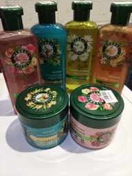 Шампунь Herbal Essences Аргановое масло Восстанавливающий 350 мл (8700216211345)
