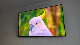 Телевізор TCL C7K 85" QLED Ultra HD 4K (85C7K) [151060 фото от покупателей 1