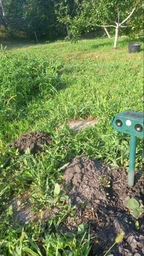 Відлякувач ультразвуковий кротів і птахів змій гризунів Solar Animal Repellent 01 на сонячній батареї + стробоскоп фото від покупців 1