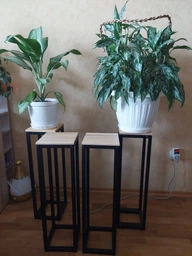 Підставка для квітів та вазонів Loft 72