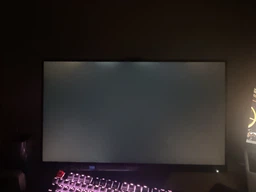 Монитор 24.5" Lenovo Legion 25-10 (67D4GAC3UA) -- FHD IPS / 320Hz / 0.5 мс (MPRT) / sRGB 99% / NVIDIA G-SYNC Compatible / AMD FreeSync Premium / HDR10 Compliance / Pivot фото от покупателей 1
