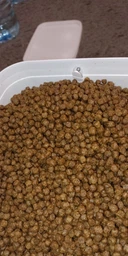 Сухой корм для взрослых стерилизованных котов всех пород Monge Cat Sensitive Chicken 10 кг (8009470004831) фото от покупателей 1