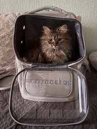 Рюкзак переноска для кота кошки котенка маленьких собак до 8 кг прозрачный зеленый (002279)
