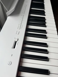 Цифровое пианино Yamaha P-225 (White) (стойка, педаль, пюпитр и блок питания) фото от покупателей 2