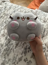 Мягкая игрушка Кот Пушин с лапками - декоративный плюшевый котик Pusheen (1024624) фото от покупателей 3