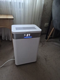 Осушитель воздуха Evoair ComfoDry 10 продуктивность 10л/24ч, тихий для дома фото от покупателей 2