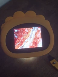 Дитячий цифровий мікроскоп 1000x з екраном 2", записом відео 1080P, підсвіткою, USB, 12 слайдами, подарунок дівчинці акумулятор 600mAh, білий, YueWe 2100106
