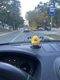 Декоративная утка лево – право