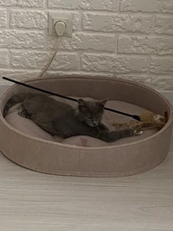 Лежак для собаки и кошки с бортиками овальный HiDOG 45×60×12 см, мягкое спальное место, бежевый 3601 фото от покупателей 1