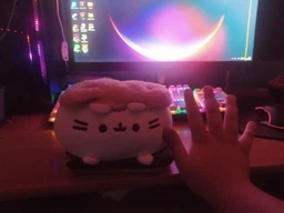 Мягкая Плюшевая Игрушка Plush Кот Пушин Шоколадный Сендвич Pusheen 15 см (1024614) фото от покупателей 1