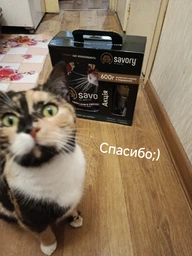 Сухий корм Savory Adult Cat Steril Fresh Lamb and Chicken для стерилізованих котів зі свіжим м'ясом ягняти і курки 2 кг (30112)