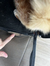 Сумка переноска для кота кошки котят собаки домашних животных до 8 кг каркасная полупрозрачная с ремешком на плечо кошачьи сумки для переноски котов кошек маленьких собак котенка чёрная размер L 50х27х27 см (002162) фото от покупателей 2
