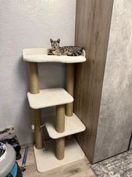 Котяча кігтеточка з великою лежанкою для котів усіх порід 120х60х45см молочно бежева