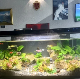 Умный автономный аквариум ver.2 Xiaomi Mijia Smart Fish Tank MYG100 20 литров фото от покупателей 1