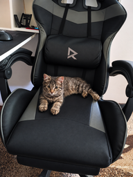 Кресло игровое с подножкой RZTK Viper Grey фото от покупателей 13