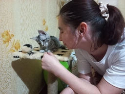 Царапалка столбик Фанкот Трійка малюнок Лапка з лежаком мех діаметр столба 62мм Джут Різнокольоровий (Д022/4)