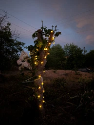 Уличная гирлянда на солнечной батарее Пчелки 6,5м, 50 LED, 8 режимов, Теплый белый