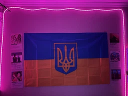 Неоновая лента 10 метров управления с телефона LED Neon Rope Light гибкая умная светодиодная подсветка USB Bluetooth IP68 (LONGITUD) фото от покупателей 14