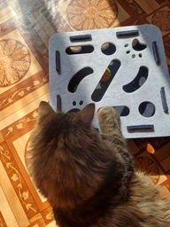 Интерактивная развивающая игрушка головоломка для котов кошек и котят лабиринт трек бокс с мячиками фетровая квадратная зелено-коричневая умная механическая игра антистресс от скуки для самостоятельной активной игры 30х30х7.5 см фото от покупателей 1
