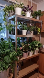 Стеллаж 4P StrongShelf 180Х90X40 см оцинкованный, равномерная нагрузка 175кг/полка, общая нагрузка до 875кг фото от покупателей 1