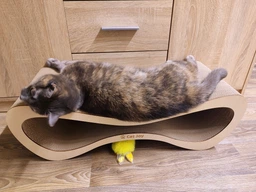 Когтеточка из картона усиленного с деревянным фасадом Cat Joy Loft Beige Wood 70х22х29 см фото от покупателей 1