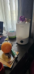Зволожувач повітря Levoit Smart Humidifier Dual 200s (heaphulvseu0035)