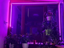 Фитолента для комнатных растений светодиодная рассады цветов фитолампа USB 5 метров фото от покупателей 3
