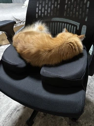 Ортопедична подушка для сидіння JoyPoint Coccyx Comfort на офісний стілець авто крісла водія в машину анатомічна ергономічна автомобільна сидушка бустер під попу з ефектом пам'яті меморі від геморою на офісне крісло табурет сидіння автомобіля чорна фото від покупців 1