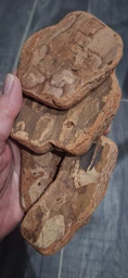 Кора сосновая голтованная (шлифованная), для орхидей, крупная фракция 1 литр