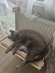 Гамак для кота на батарею дерев’яний з м’яким матрасом регульований до 30 кг 46х34х35 см (fd002)