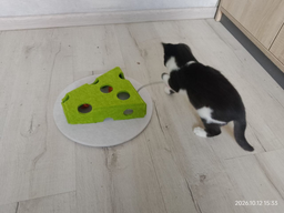 Интерактивный лабиринт для кошек Interactive Cat Toy в форме сыра 30×30×6,5 см игрушка с шариками с колокольчиками и дразнилкой для активных игр
