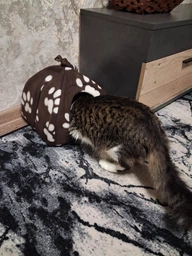 Мягкий флисовый домик для собак и кошек Pet Hut 24х28 Лапки (NA-305)