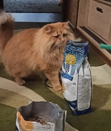 Сухий корм Farmina N&D Ocean Herring & Orange Neutered для стерилізованих кішок 1,5 кг