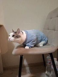 Костюм для котов (кошек) флисовый Нордик S Розовый фото от покупателей 1