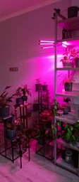 Фитолампа USB для роста растений на 4 лампы гибкая светодиодная LED фито лампа полного спектра профессиональная 4 ветки на прищепке светильник для комнатных цветов орхидей рассады лед фитолампа на четыре фитосветильника для подсветки и регулировки яркости фото от покупателей 4