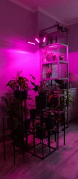 Фитолампа USB для роста растений на 4 лампы гибкая светодиодная LED фито лампа полного спектра профессиональная 4 ветки на прищепке светильник для комнатных цветов орхидей рассады лед фитолампа на четыре фитосветильника для подсветки и регулировки яркости