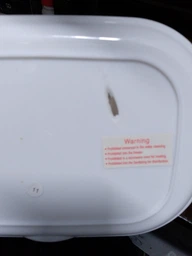 Ланч-бокс електричний The Electric Lunch Box з підігрівом 220V / 12V. Термос для їжі з підігрівом зелений фото від покупців 3