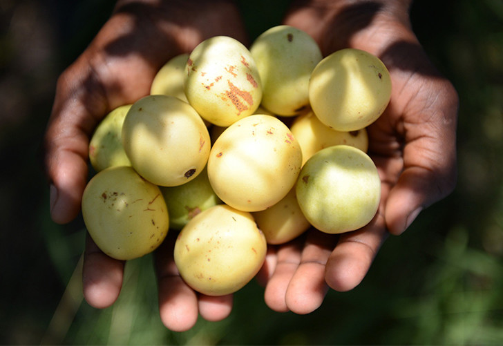 Ликер Аmаrula Marula Fruit Cream