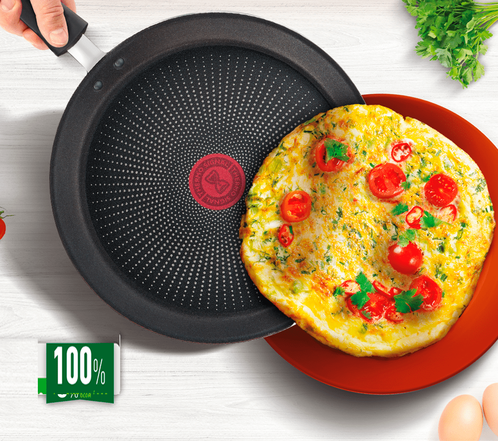 Сковорода блинная Tefal Eco Respect 25 см (G2543853) – купить онлайн на ...