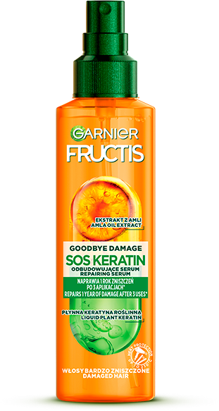 Garnier Fructis