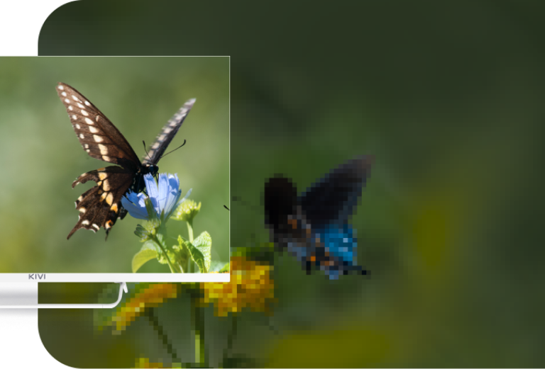 Responsive Image