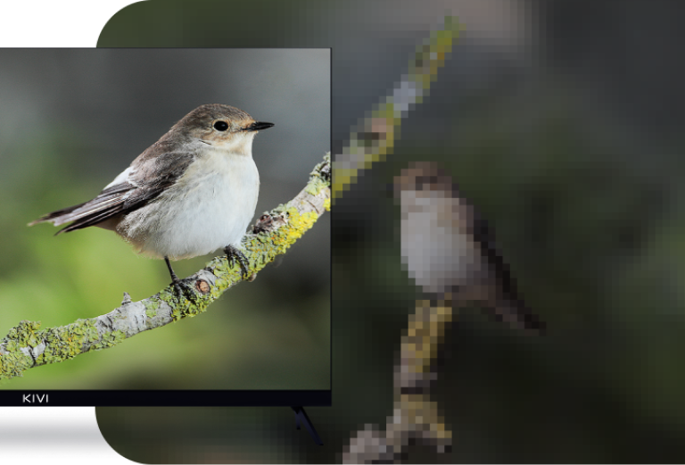 Responsive Image